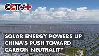 Solar Energy Powers Up Chinas Push Toward Carbon Neutrality