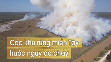 ĐBSCL: Khí hậu ngày càng khô nóng, nguy cơ cháy rừng càng cao | VTV CẦN THƠ