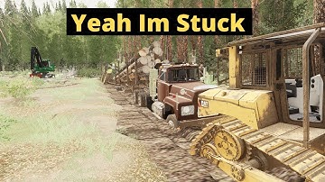We on (Kalador) Doing some logging.  fs19 logging,