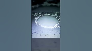 Sheep 🐑 Walking in ⭕ Circles