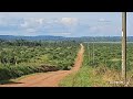 Stage 6 Challenge Rally Masaka 2024 Stage 6 Challenge Rally Masaka 2024