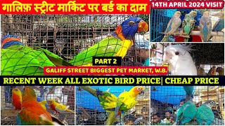 Recent Week All Exotic Bird Price Update |गालिफ़ स्ट्रीट सब से बड़ा बर्ड मार्किट कोलकाता |14/04/24 by AMAR 2020 1,988 views 7 days ago 16 minutes