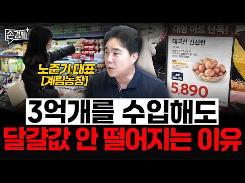 Why Egg Prices Aren't Dropping Even With 300 Million Imported - CEO Noh Jun-gi (Gyerim Farm)