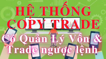 Robot Forex Copytrade Hệ thống copy trade có quản lý vốn và trade ngược lệnh