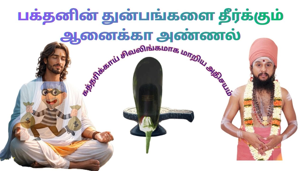 பக்தனின் துன்பங்களை தீர்க்கும் ஆனைக்கா அண்ணல் -  திருடனை பக்தனாக மாற்றிய கத்திரிக்காய் சிவலிங்கம்