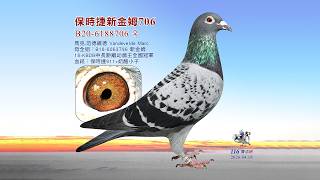 【歐洲特賣】B20-6188706