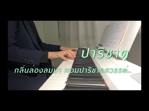 ปาริชาต Piano Cover เพลงไทยไพเราะฟังสบาย ฟังขณะทำงานและก่อนนอน  Music Mint Studio