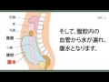 201408 3 551ことばと健康 ことわざ 覆水盆に返らず