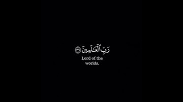 كرومة شاشة سوداء بصوت الشيخ#أبو_بكر_الشاطري#سورة_الجاثية
