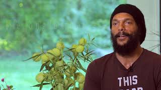 Student in the Integrative Health and Healing Program