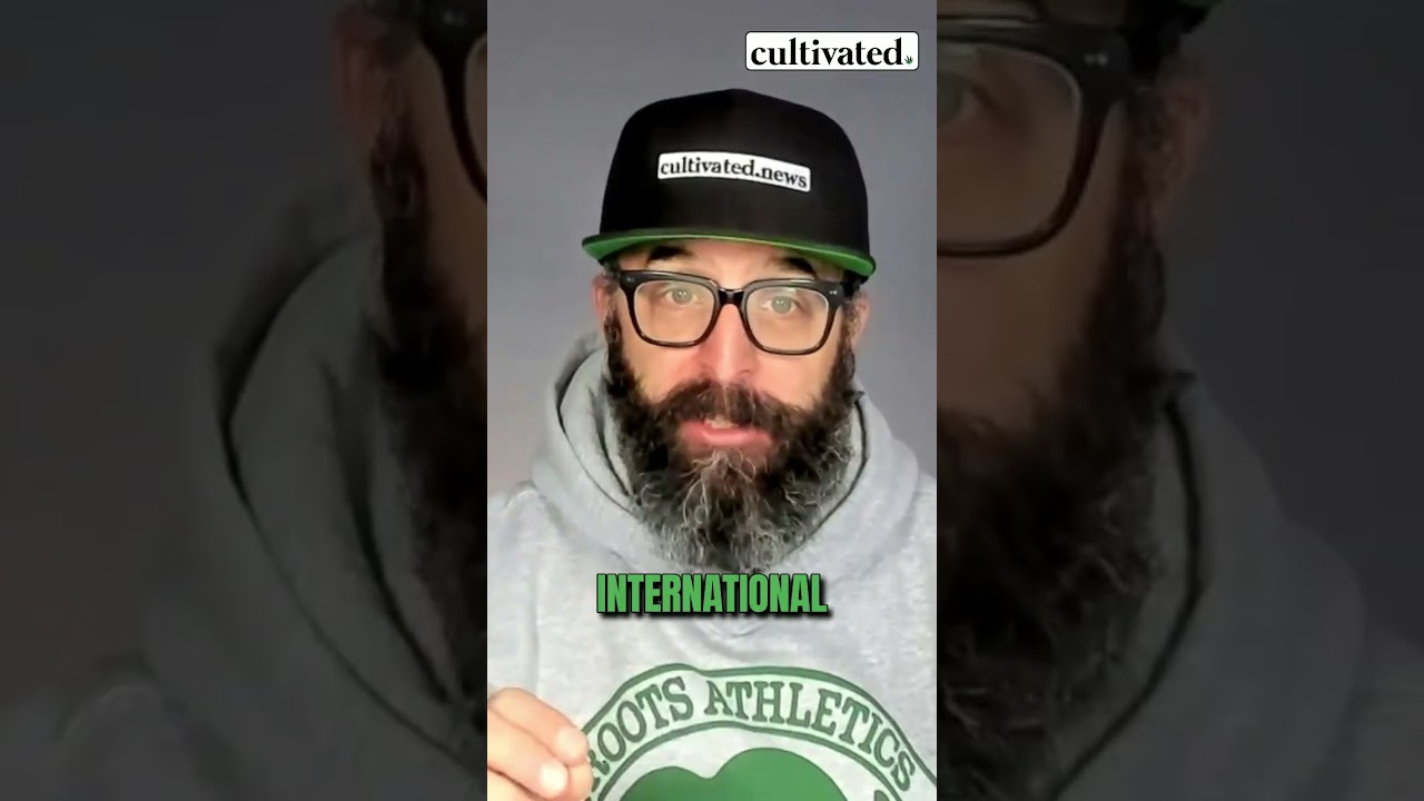 Fireworks ahead of the DEA's rescheduling hearing | Cultivated 