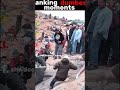 Ranking dumbest moments🤣🤣🤣