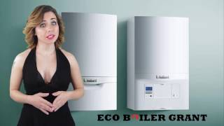 ECO Boiler Grant | Free boiler replacement scheme