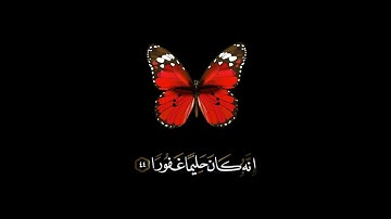 صباح الخير اجمل حالات واتس اب مقاطع قصيره قرآن كريم وان من شيء الا يسبح بحمده احمد العجمي بدون حقوق