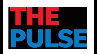 Florida Pulse: U.S. Rep. Mike Haridopolos talks border, space and goals for first Congressional term
