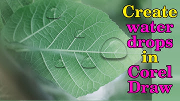 create water drops effect on leaf in corel draw 12, 14, 15, 18, 20, 21, 22, 23