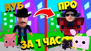 🤑 ОТ НУБА ДО ПРО за 1 час в симулятор питомцев роблокс симулятор