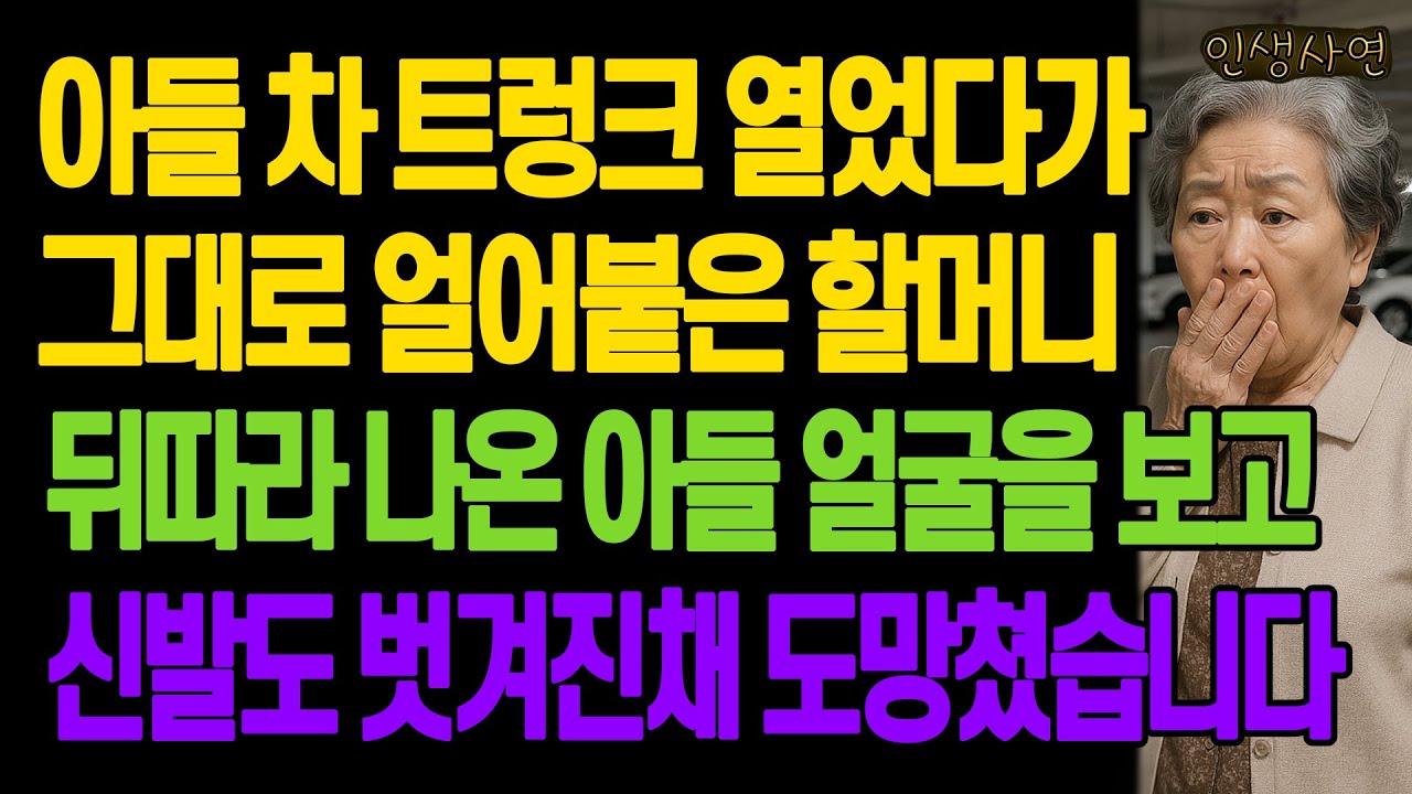 아들 차 트렁크 열었다가 그대로 얼어붙은 할머니.. 뒤따라 나온 아들 얼굴을 보고 신발도 벗겨진채 도망쳤습니다 노년의 삶의 지혜 행복한 노후생활 부모자식갈등 사연 이야기 오디오북