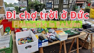 Flohmarkt In Rahden 2023 Flea Market In Germany Shopping Secondhand Stuffs Đi Chợ Đồ Si Ở Đức