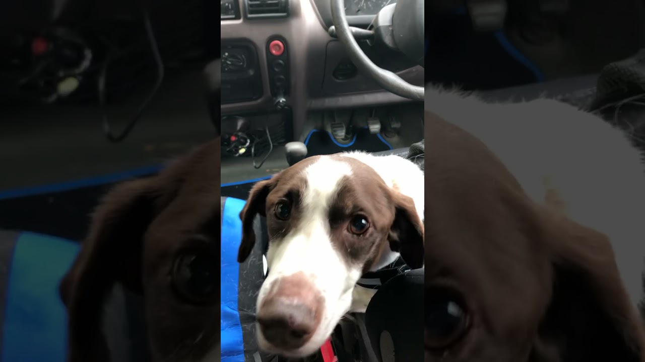 We are out,this is Not a paid review