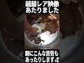 あたりました💦＃七代目野中家　＃家系　＃家系ラーメン