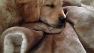 Murph - You Will Understand In Time