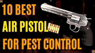 Top 10 Most Powerful Air Pistol For Pest Control 2024