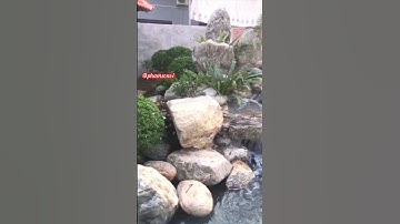 Làm hòn non bộ cho hồ cá koi 40khối #hocakoi #Shorts