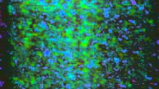 No For An Answer - CBGB's 9.4.89 (Free For All)