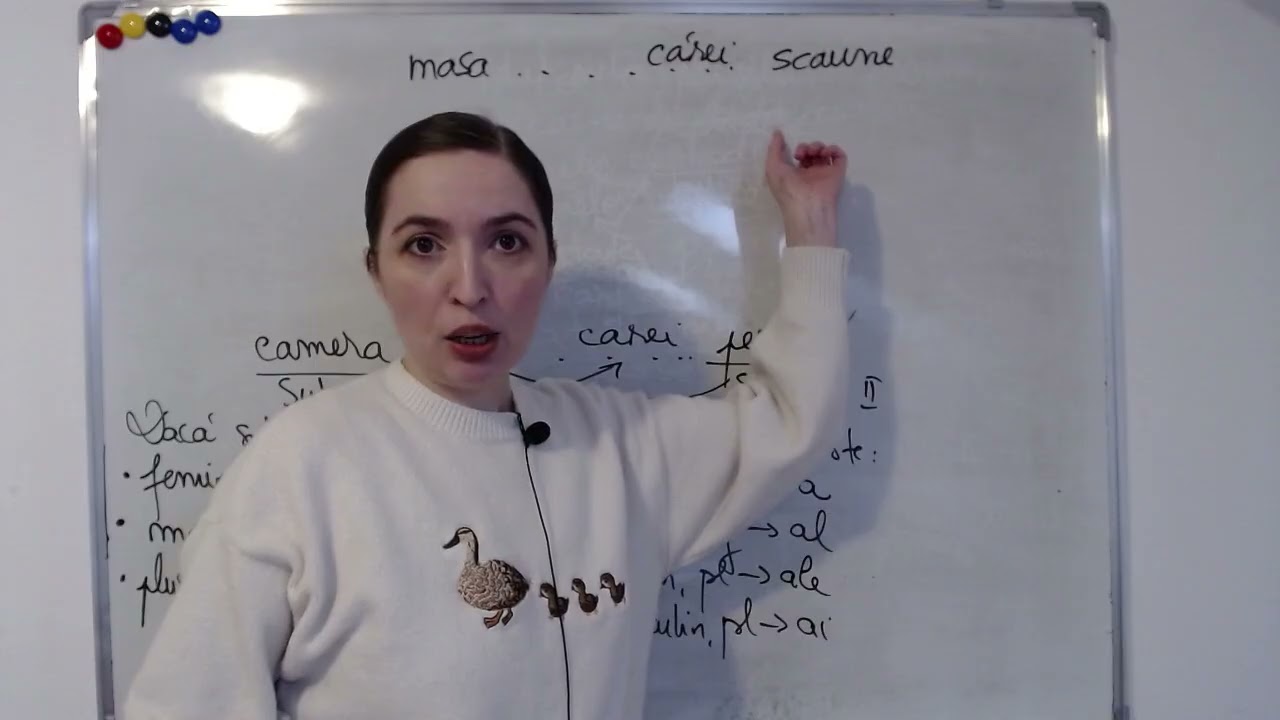 20 de greșeli frecvente la examen - EN 2026