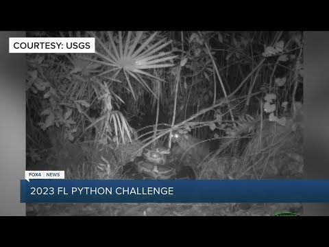2023 Python Challenge