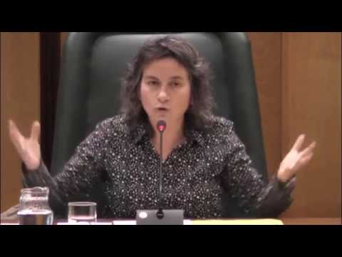 15 de diciembre. Comisión de Derechos Sociales. servicios al contribuyente