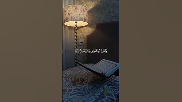 القارئ : أحمد حمادي