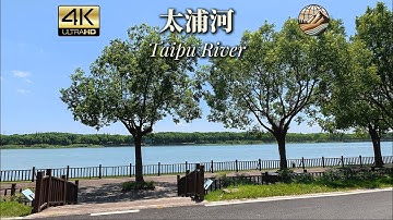 Chasing Wind, Tracing Green: Drive Along Taipu River-Shanghai
