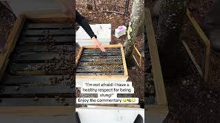 One of us = beekeeper 😳 one of us=learning 🤣 #couplecomedy #beekeeper #honeybee #fyp #savethebees