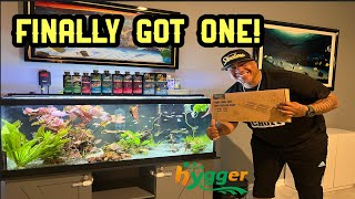 BEST AQUARIUM HEATER BY HYGGER!