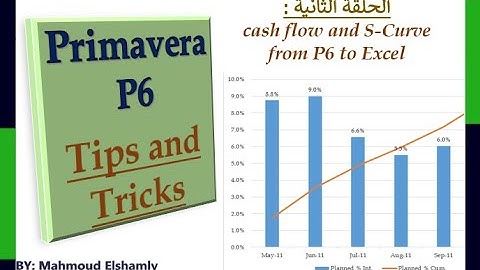 Primavera Tricks / How to get data from Primavera and make Cash flow & S-curve in Excel