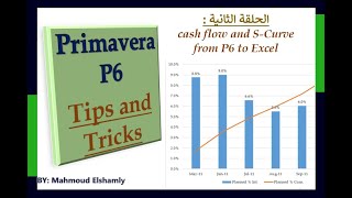 Primavera Tricks / How to get data from Primavera and make Cash flow & S-curve in Excel