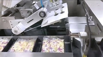 snack food bags boxing cartoning machine automatic cartoner