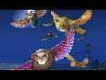 The Hyrax Song Book Trailer
