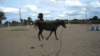 Scarlett Le 26 Aout 2012 - 12