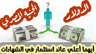الاستثمار في الشهادات بالجنيه المصري أم بالدولار.. أيهما أفضل بالأرقام