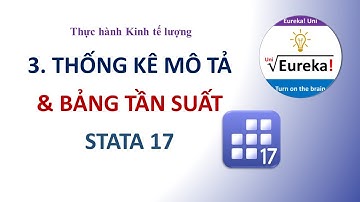 STATA 3. Thống kê mô tả và bảng tần suất nhiều chiều - Hướng dẫn STATA A-Z