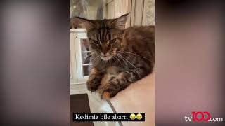 Eda Ece Yasak Elma Setinden Bildiriyor