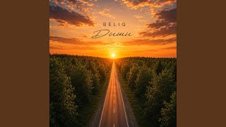 Дыши - BELIQ