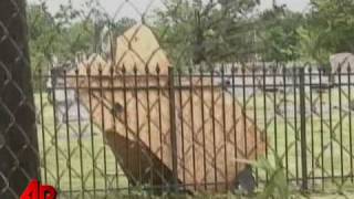 Raw Video: Mississippi Storm Damage