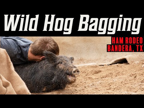 Bandera Ham Rodeo Sadists