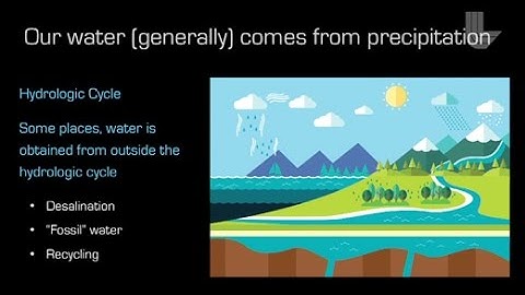 Hydrology of an Ant Farm