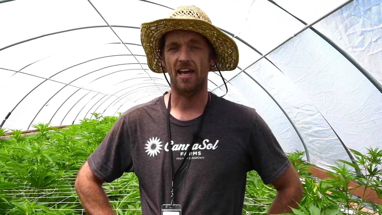 CannaSol Farms