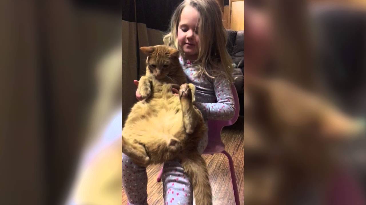 persami smp Little Girl Plays with Cat like a Doll